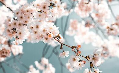 Ілюстративне фото