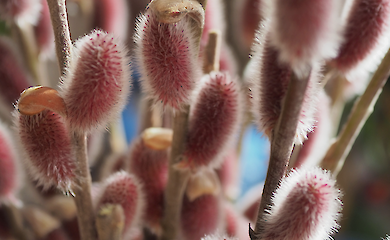 Похолодання накриє частину України: синоптики оприлюднили прогноз погоди на 17&ndash;22 березня