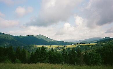 Карпати, Україна; ілюстративне фото