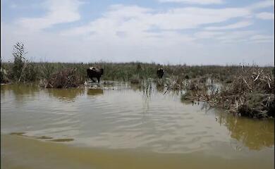 Болота Marshlands в Ираке