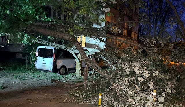 У Києві через сильний вітер дерево впало на мікроавтобус