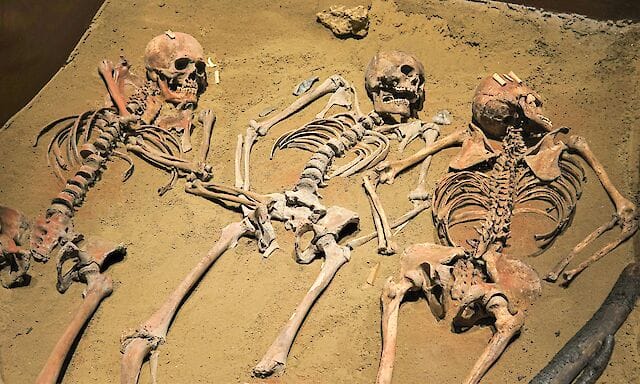 Учені вперше простежили генетичний зв'язок між Homo erectus і сучасними людьми