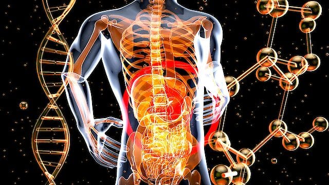 Учені вперше домоглися усунення резервуара вірусу гепатиту B за допомогою генної терапії
