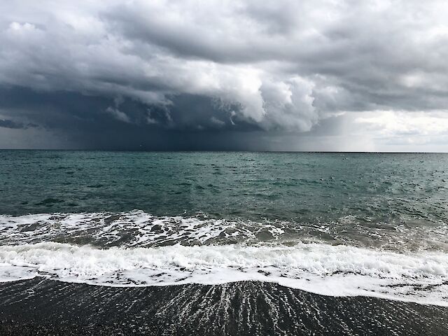 Війна загрожує екосистемі Чорного моря: вчені повідомили про ризики