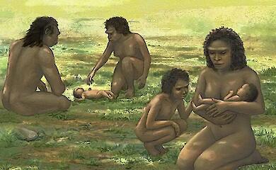 Особая форма черепа помогла раскрыть детство Homo erectus