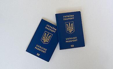 Чи перевіряють зараз у жінок додаток «Резерв+» на кордоні України — пояснення ДПСУ