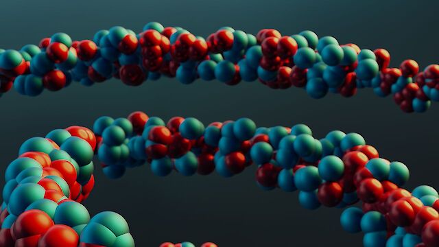 Вчені навчилися визначати за аналізом крові ступінь старіння кожного органу тіла. Результати вражають
