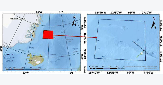 У Гренландське море несподівано повернувся льодовий язик Одден