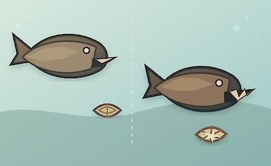Древние панцирные рыбы дробили добычу двумя способами