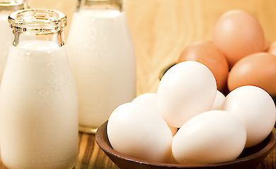 Ціни на яйця та молочні продукти