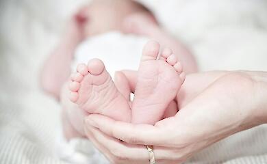Виплати у зв&rsquo;язку з вагітністю та пологами зросли до 7000 грн. Деталі