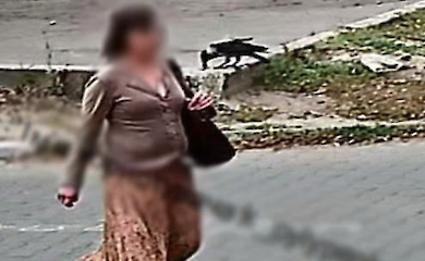 Підозрювана в пограбуванны дитини потрапила на камери відеоспостереження