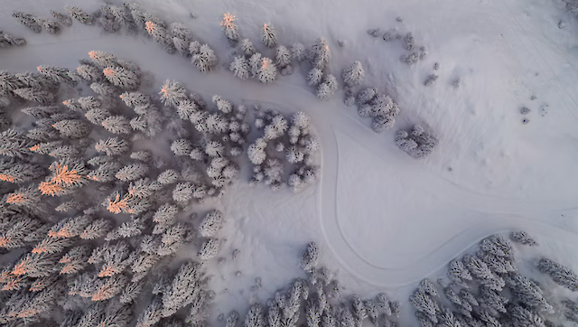 Європу охоплять сильні морози: температура опуститься до -17°