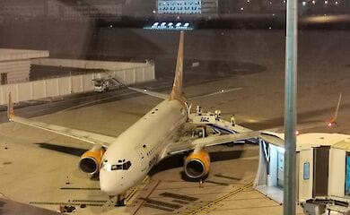 Евакуйовані з Китаю українці зійшли з літака - відео