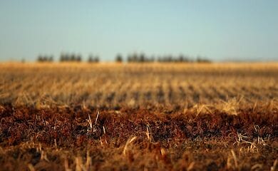 Рада рассмотрела более тысячи правок к "земельной реформе"