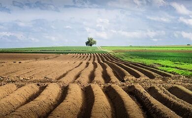 Рада рассмотрела 1505 из 4018 поправок к законопроекту о рынке земли