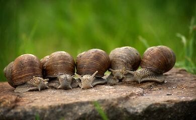 Чем Украина торгует с Европой 