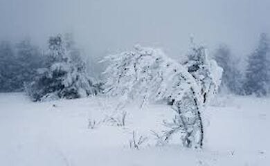 Очікується сильний вітер, дощ, сніг та хуртовини