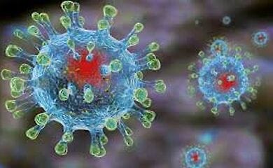 Названа вікова категорія, найбільш схильна до коронаврусу