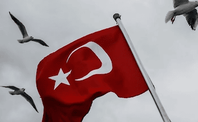 Соединенные Штаты обеспокоены турецко-сирийскими столкновениями 