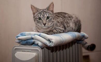 Теплопоставщикам в восьми областях Украины могут отключить газ