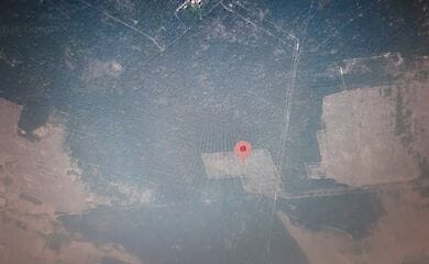 На радіоактивному грунті вирощують соняшник, кукурудзу і сою