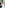 6 марта в Музее истории города Киева пройдет открытая репетиция дебютантов Благотворительного Венского бала
