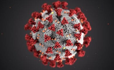 Канал содержит все новости, текущие данные, рекомендации и оценки от специалистов