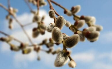 В столице вновь побиты температурные рекорды