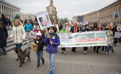 В Киеве могут запретить фото с животными
