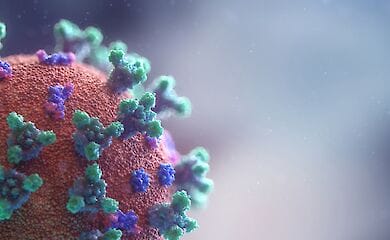 Европейские страны в начале эпидемии