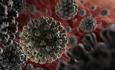 Пандемия коронавируса вызвана естественными причинами - исследование