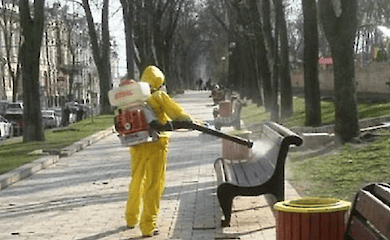 Столичные парки продезинфицировали