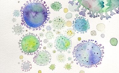 Безпечна відстань - більше, ніж два метри