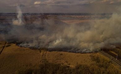 Під Києвом в результаті пожеж постраждали тварини та птахи