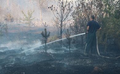 Запах гари в столице сохранится еще несколько дней